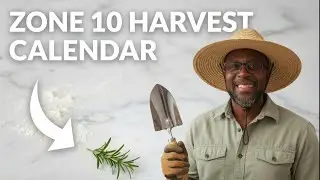 Stock Your Pantry Right | Best Months to Can Each Vegetable