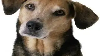 Marilou70 intro for channel