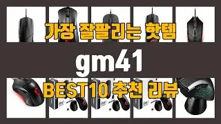gm41 TOP10 인기상품 가격정보 후기