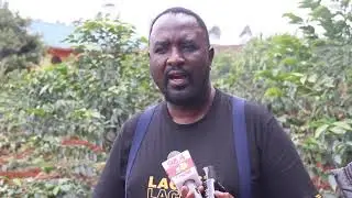 Nyeri coffee farmers embarks on a new system of coffee farming to increase production