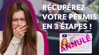 VOTRE PERMIS A ÉTÉ ANNULÉ ? ON VOUS MONTRE COMMENT LE RÉCUPÉRER
