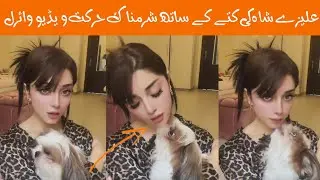 alizey shah viral video with dog