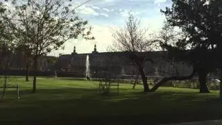 Astonishing Nature - Sunny Winter Day in Paris, Tuileries Gardens