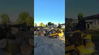 An absolute BEAST! #treeremoval #treeservice #trees #treemaintenance #treeexperts