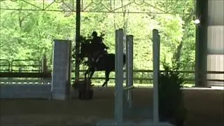 A Plus Student at Maryland OTTB El Gran Senior Hunter 2nd trip