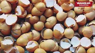 Healing broken bones using eggshells; Tamil Nadu researchers develop breakthrough technology