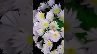 Идея повторного использования пластиковых бутылок #вазадляцветов#ремеслоизотходов#пластиковаябутылкаповторноеиспользование