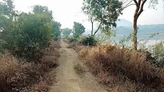 Beautiful Village Forest Life । Nature Vlog 2026