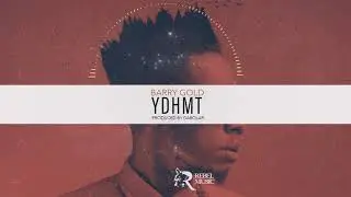 BarryGold - YDHMT(HamniSkizi)