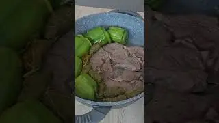 Wie macht man Dolma .how to make Dolma #food #phonkagressive #foodie #music #haveitoldyoulatelythat