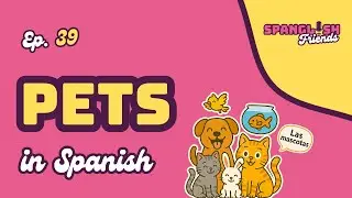 🐾How to Talk About Pets in Spanish | Common Animals, Gender, Beginner Phrases