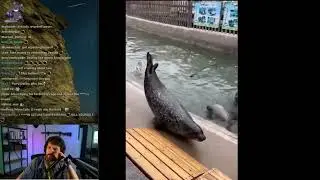 Destiny's Seal Research Stream