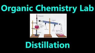 Distillation | Organic Chemistry Lab Techniques