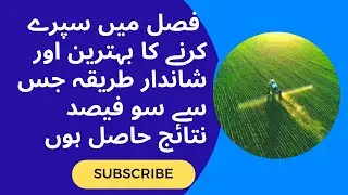 Effective method of pesticides spray | best method of spraying in crop