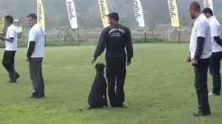 VERANIS K9 CENTER
