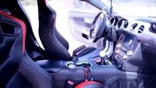 Braum Racing Seats Review(Mustang Gt 15-17)