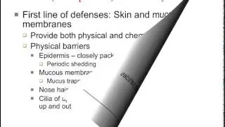 22 09 first line of defense