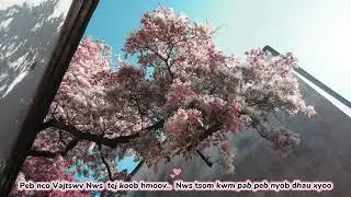 KARAOKE TSIAB 30 // Niam Tshuav Num nkauj xyoo tshiab 2026