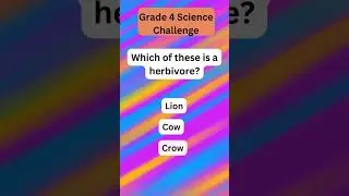 grade4 science challenge4