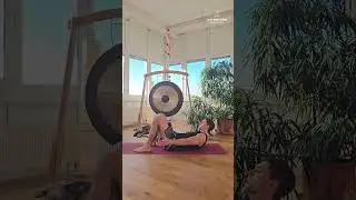T&auml;glicher Bewegungsimpuls: Crunches zu den Seiten | LazyDogDaily #30