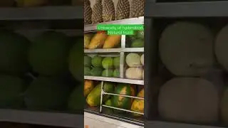 #hcu University of hyderabad campus Natural fruits || HCU Campus Beauty