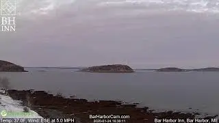 Bar Harbor, Maine LIVE