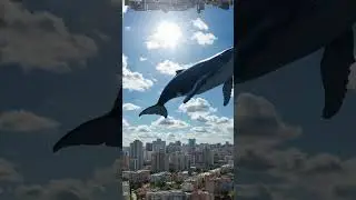 A whale flying over buildings