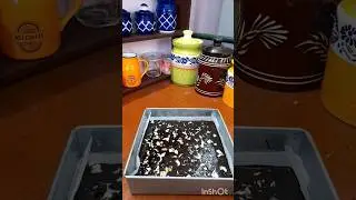 #Brownie  # Free baking class by Elfin