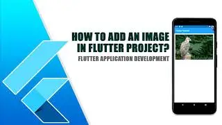 How to add an Image in Flutter Application using Android Studio?