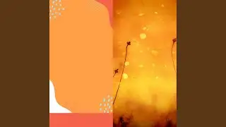 Sublime Backdrops for Comfortable Relaxation