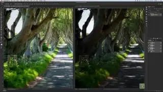 Camera Raw filter basic use Photoshop cc 2017