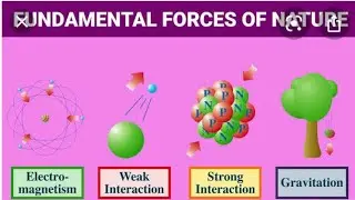fundamental forces in nature