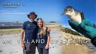 An Island Uprising | Isles of Scilly Wildlife Trust