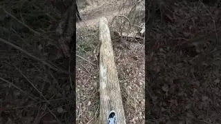 Hiking with balance #hiking #exercise #woods #workout #cardio #explore #explorepage #youtubeshorts