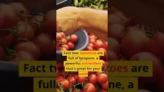 Tomato Tales: Three Amazing Facts!