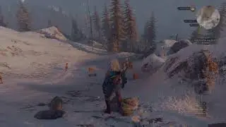 The Witcher 3 - Wild Hunt (Casual Gameplay) 3