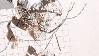 W.A. Dwiggins Advertisement Animation