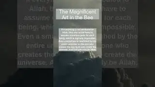The Magnificent Art in the&nbsp;Bee! #motivation #psychology #islamicshorts #islam
