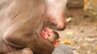 1 Welcome new baby born when mum Lauy hold her hard to breath