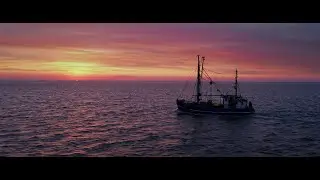 Chasing The Tides Drone Reel 4K
