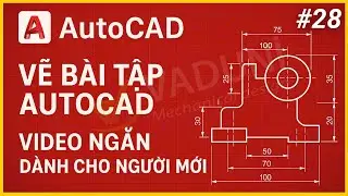 Học AutoCAD | Học Vẽ Bài Tập AutoCAD dành cho người mới | Bài 28