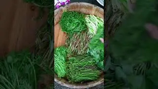 Wild Veggie Hot Pot in Wuyuan  Jiangnan&rsquo;s Ink Painting Beauty #countrysideliving #cooking