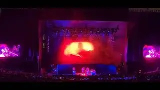 Johnny Jewel Desire - Shoreline - 2024