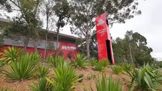 Griffith University School of Dentistry and Oral Health