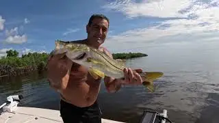 #anook good bite 