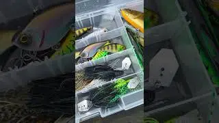 LEURRES YASEI 🎣