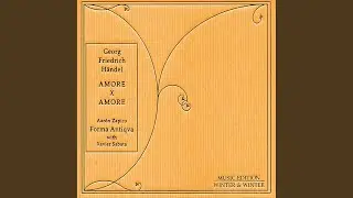 Violin Sonata, D Minor, HWV 359a: Grave