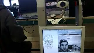 Head pose estimation for controlling robot camera field of view