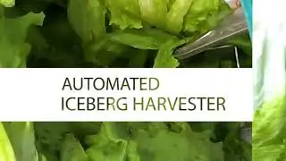 Automated Harvesting