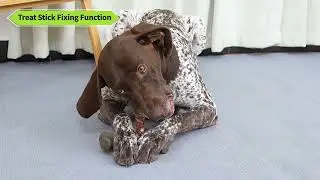 KADTC Multi-functional&nbsp;Indoor&nbsp;Interactive&nbsp;Dog&nbsp;Toy